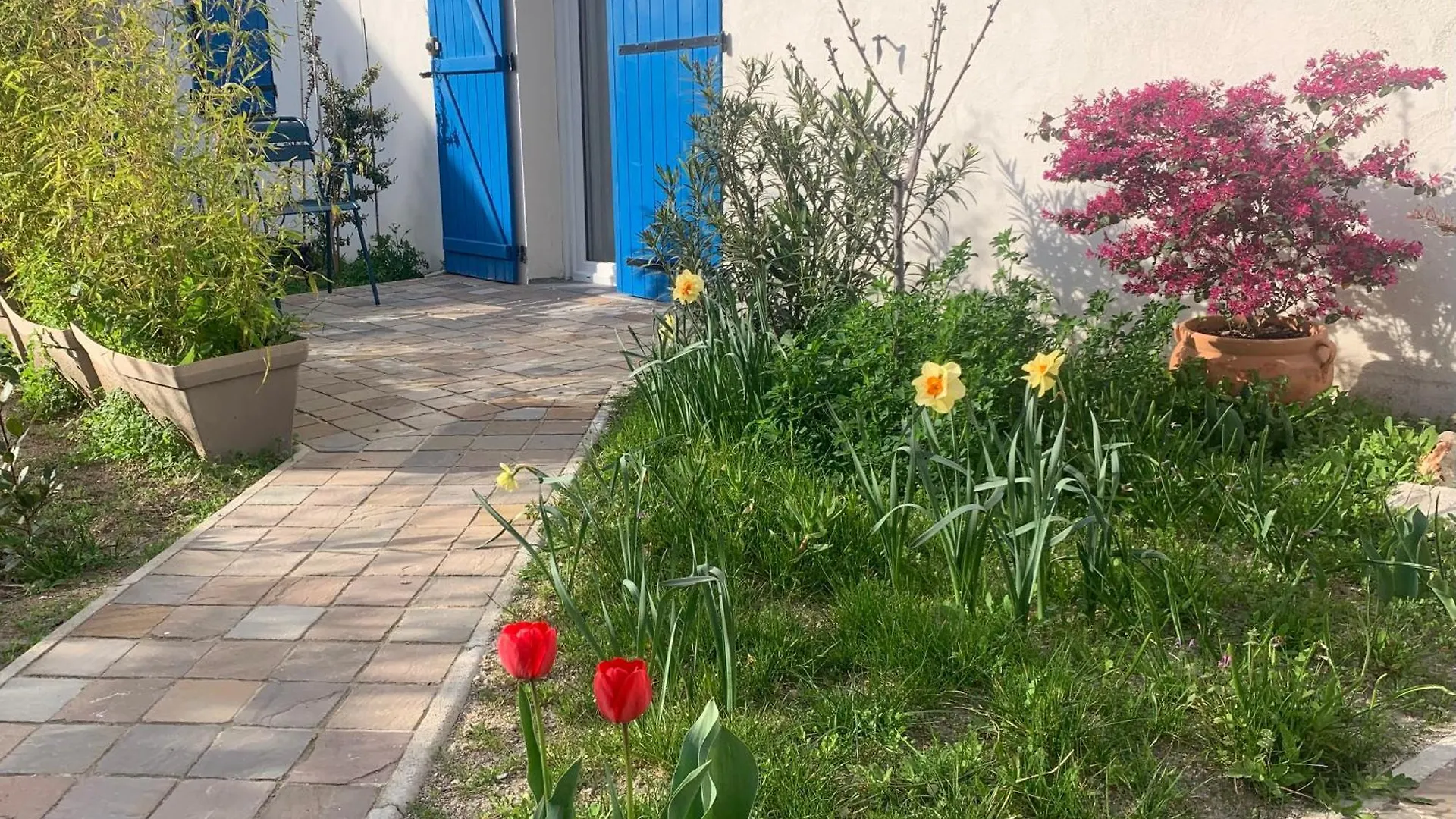 Maisonnette De Jardin Marseille