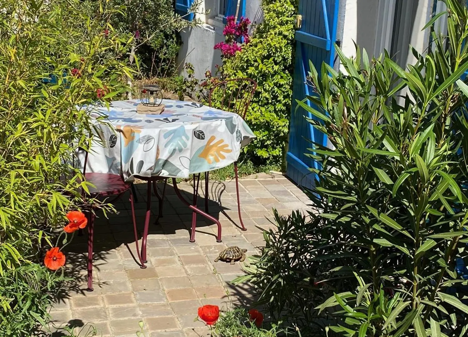 Maisonnette De Jardin Marseille Appartement