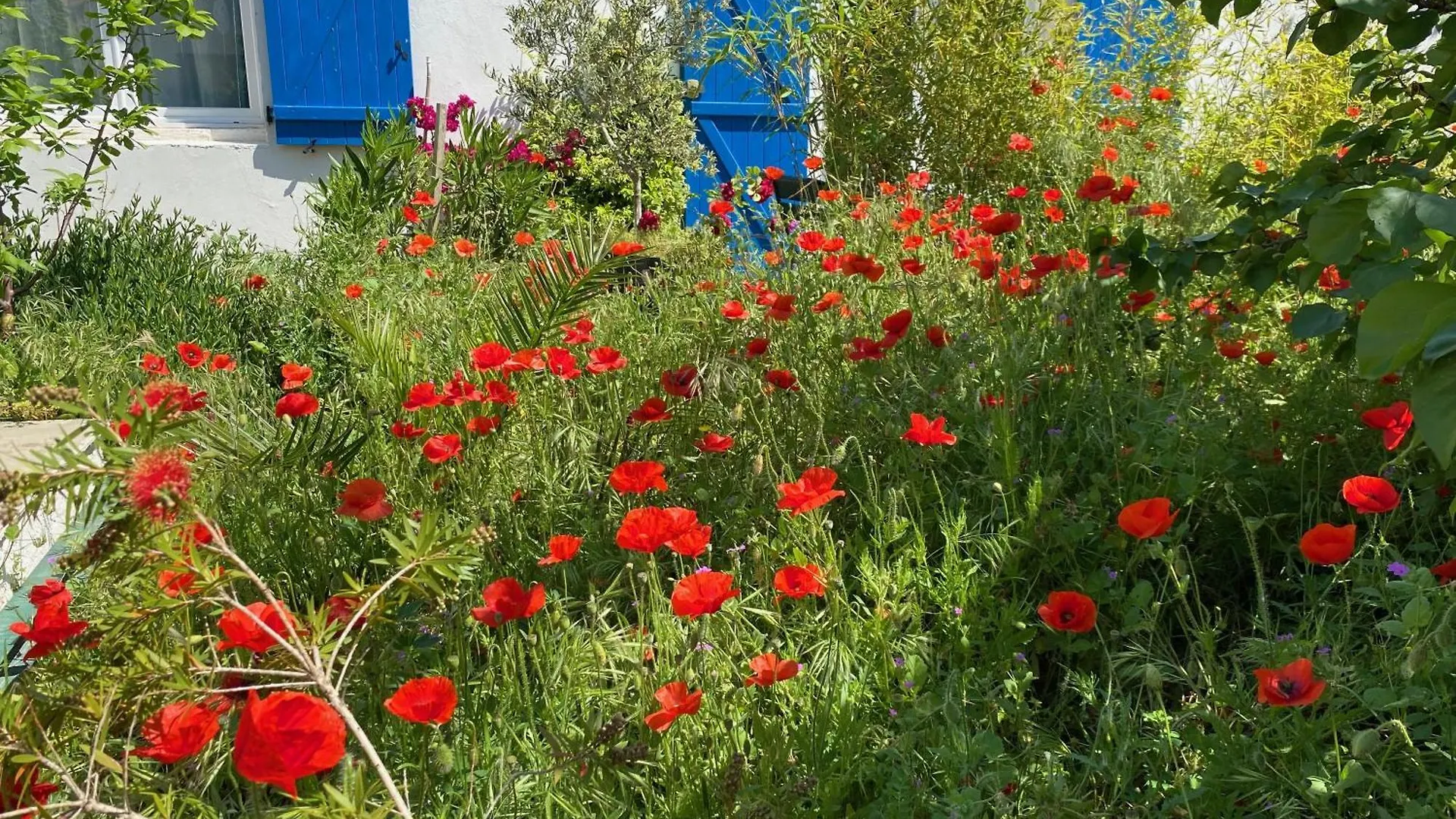 Appartement Maisonnette De Jardin Marseille
